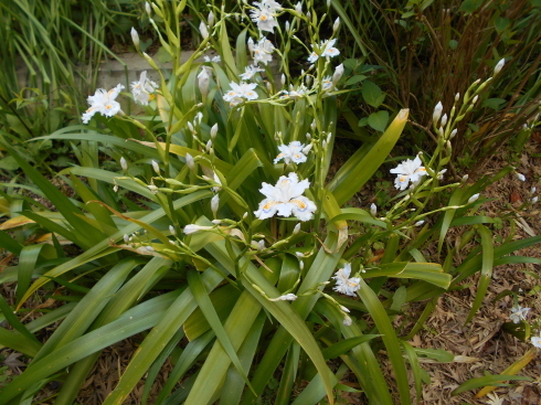 f0083803_19050038.jpg