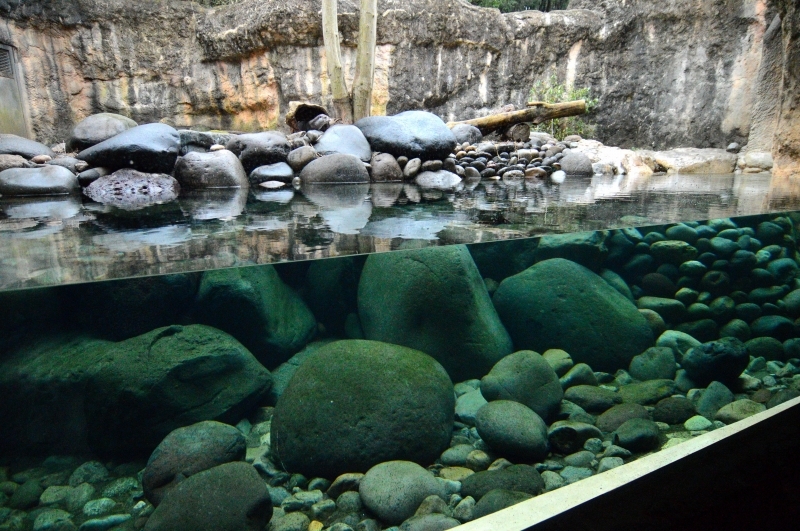 a0164204_06373289.jpg