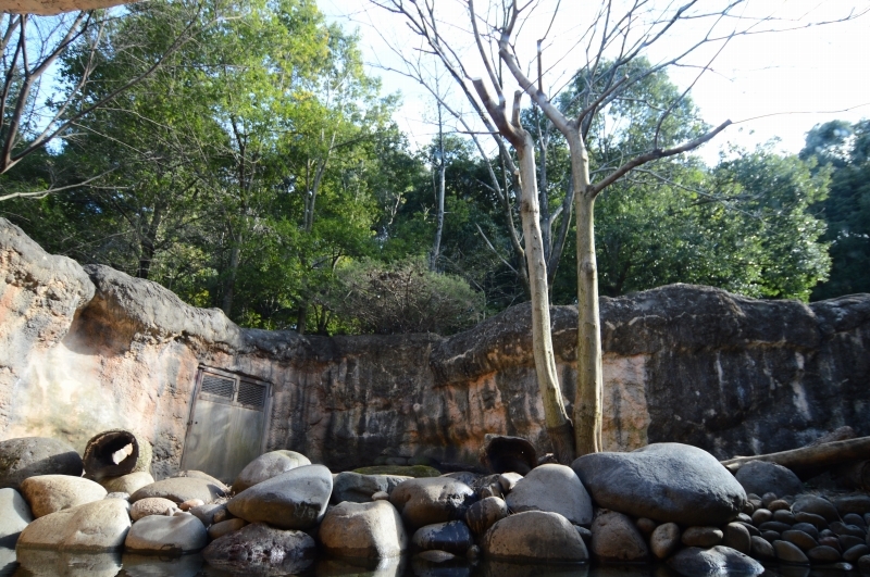 a0164204_06544787.jpg