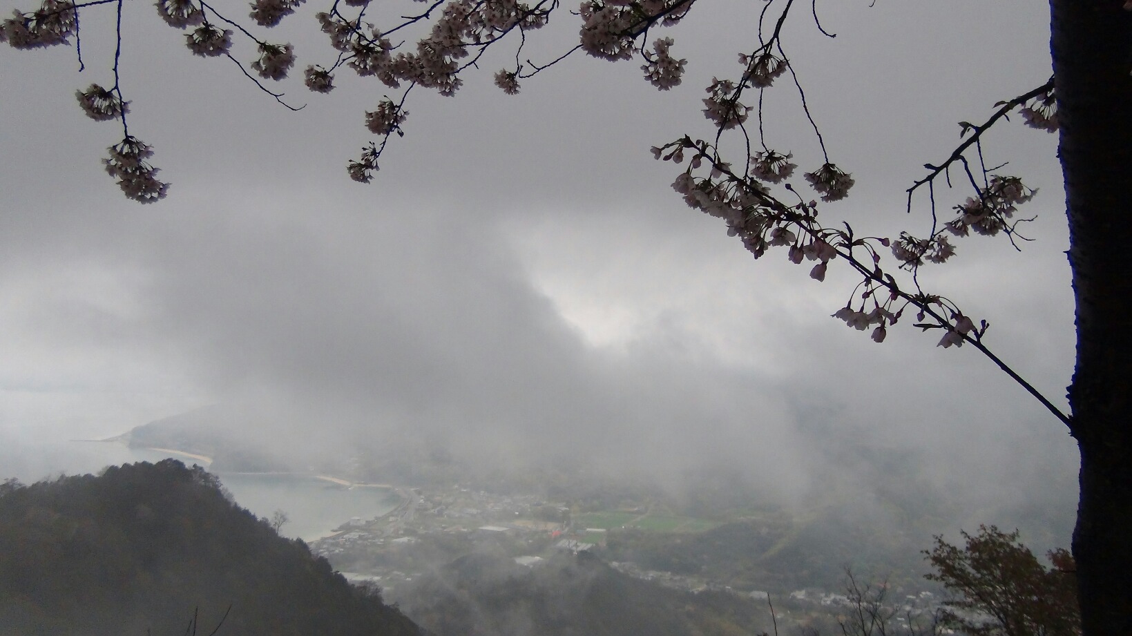 f0231709_05934.jpg
