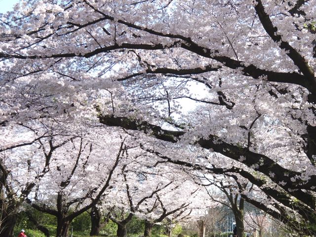 b0309813_1324636.jpg