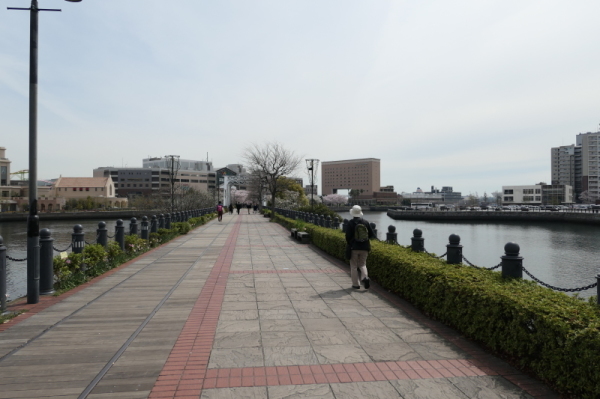 f0369014_11503329.jpg