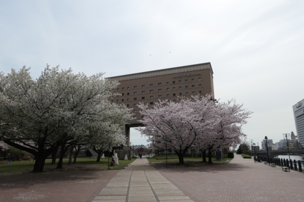 f0369014_11522164.jpg