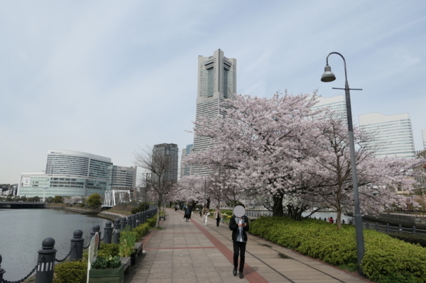 f0369014_11534671.jpg