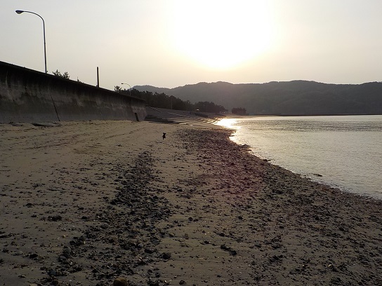 f0341616_16583209.jpg