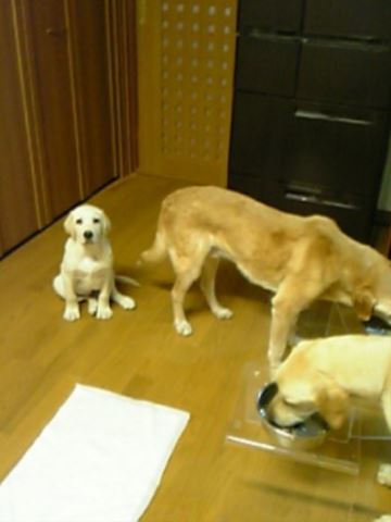 c0114121_05144.jpg