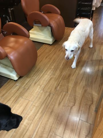 c0114121_23291879.jpg