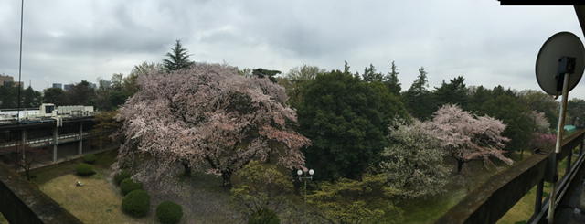 c0038722_1445021.jpg
