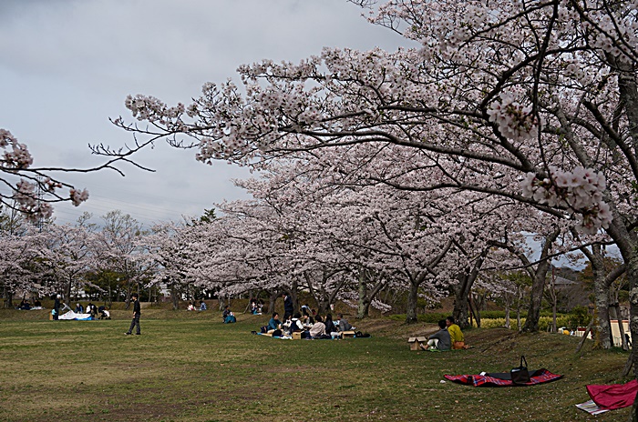 b0068423_22545160.jpg