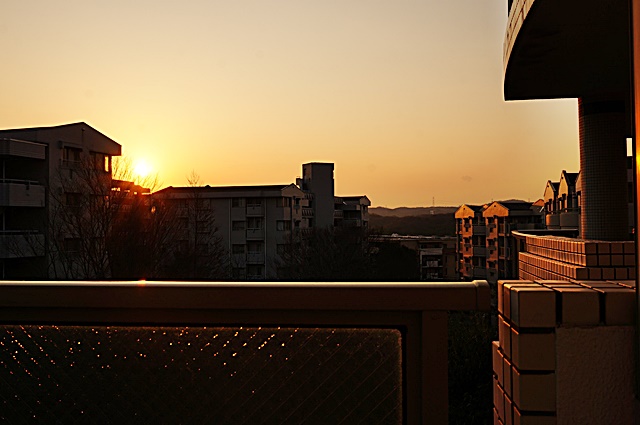 b0068423_22584258.jpg