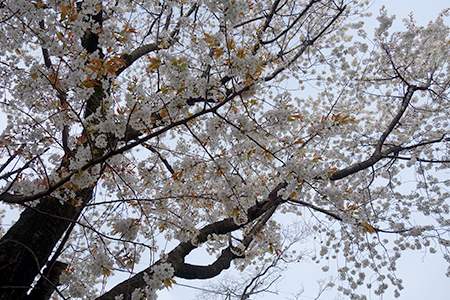 f0097523_14100418.jpg