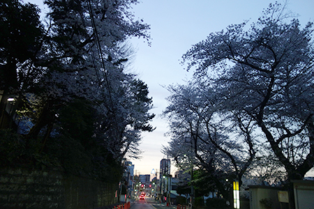 f0097523_14142222.jpg