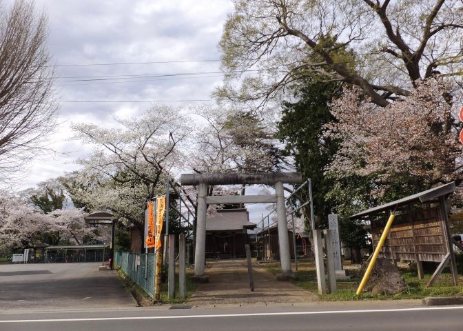 a0166324_16561912.jpg