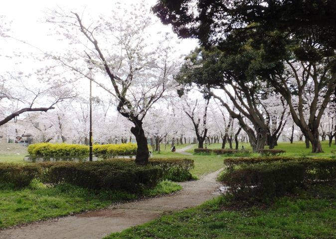 a0166324_16570696.jpg