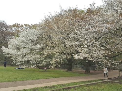 e0016828_09350996.jpg