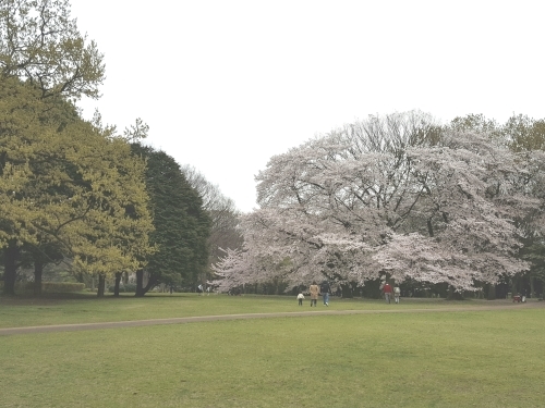 e0016828_09355455.jpg