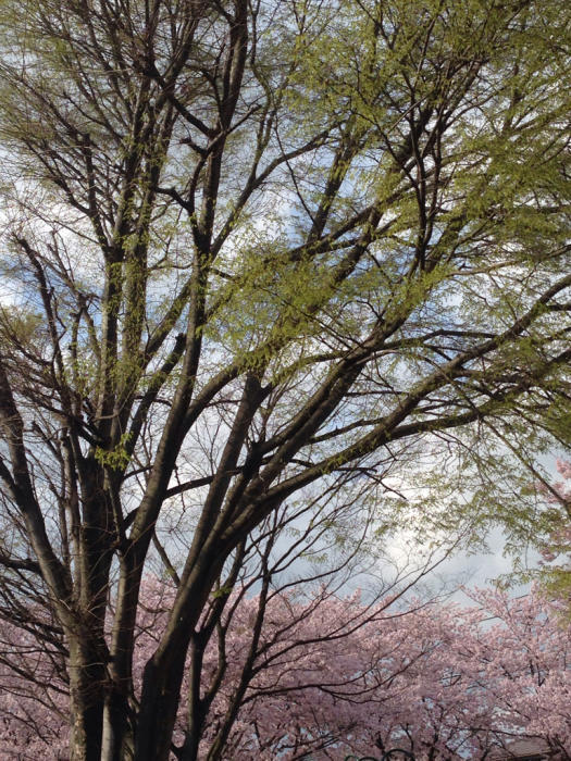 f0155431_21171527.jpg