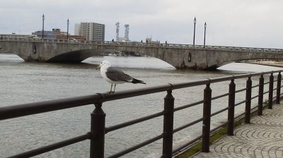 c0191843_20391942.jpg