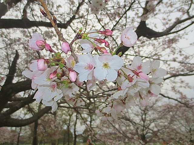 b0248954_06311308.jpg