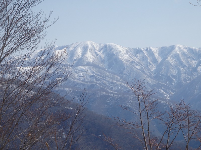 c0097754_15282617.jpg
