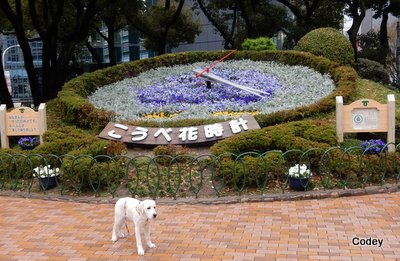 e0364056_117211.jpg