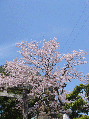 e0001558_17593705.gif
