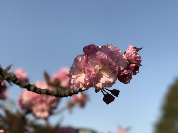 b0123359_20195839.jpg