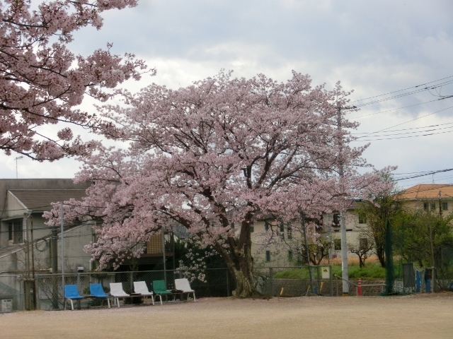 c0328559_16265750.jpg