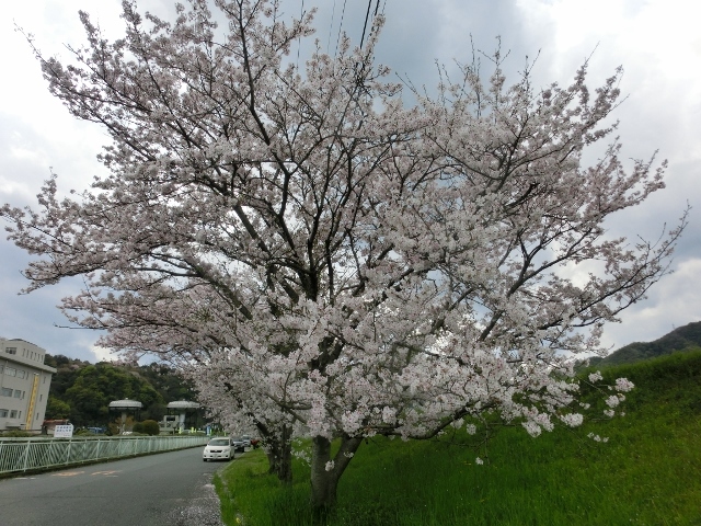 c0328559_16273239.jpg