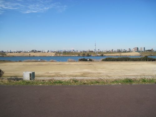 b0206463_18264727.jpg