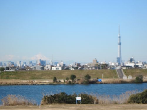 b0206463_18265695.jpg