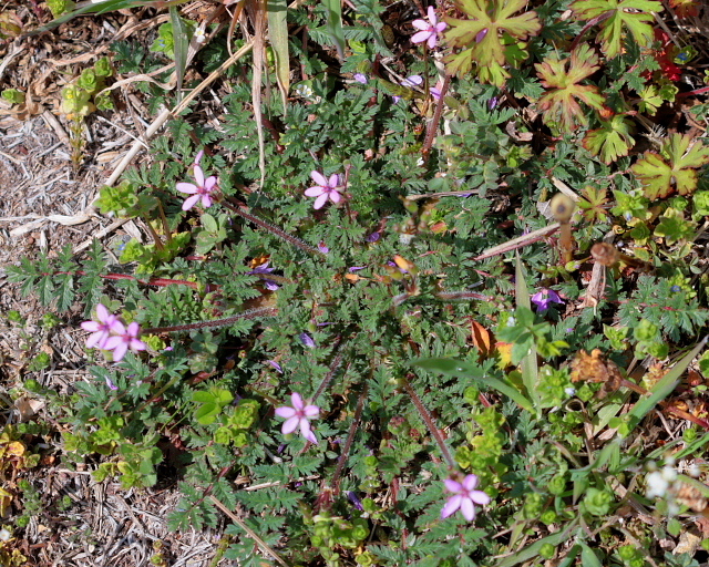c0305565_17581140.jpg
