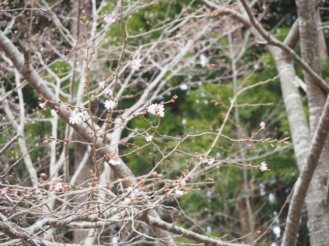 c0349366_17415136.jpg