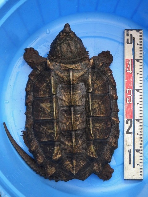 c0105569_01484300.jpg
