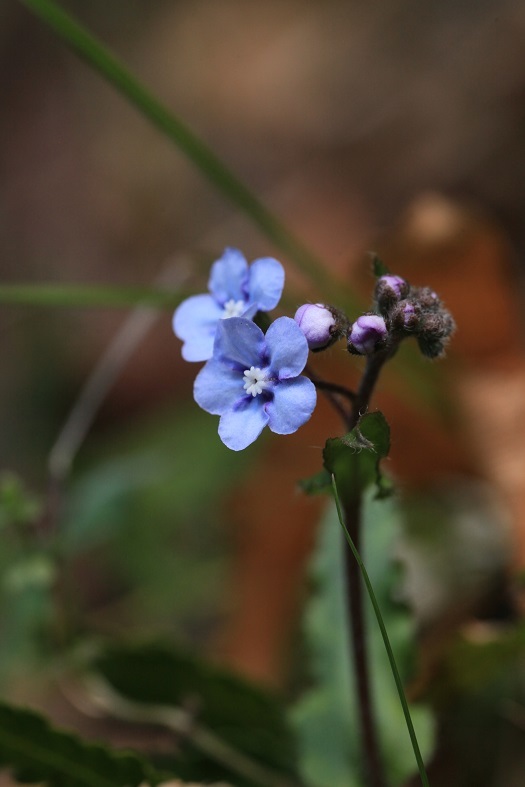 e0304170_20473461.jpg