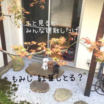 f0322570_15492991.jpg