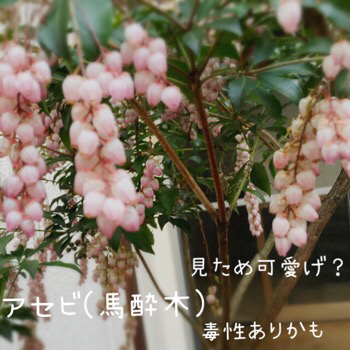 f0322570_15493009.jpg