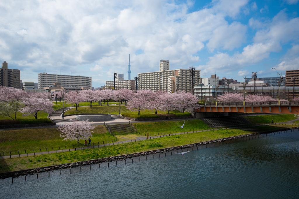 b0247073_21425959.jpg