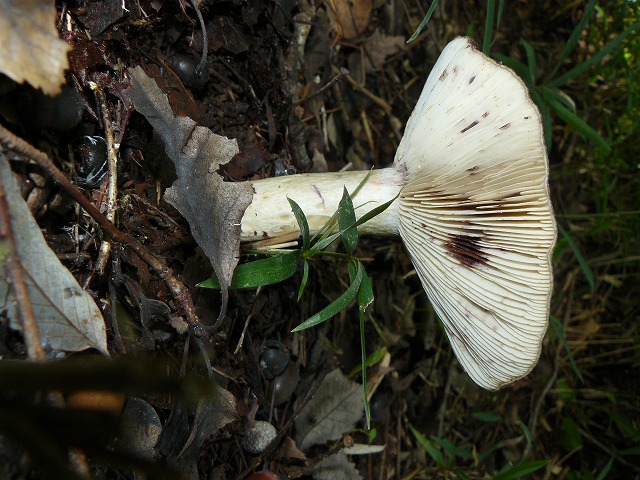 d0019074_15543885.jpg