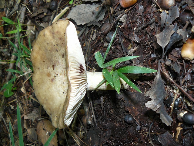 d0019074_1555011.jpg