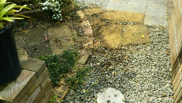 f0366679_23392929.jpg