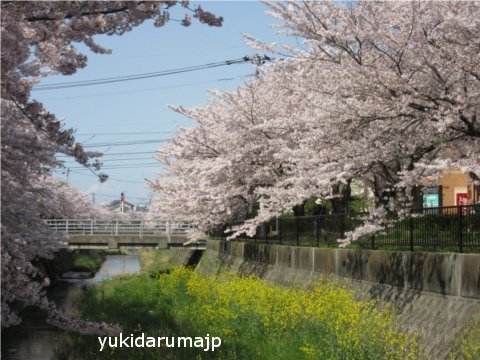 f0055380_22481598.jpg