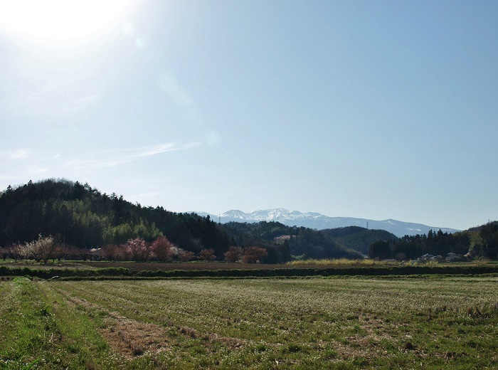 d0344982_16553932.jpg