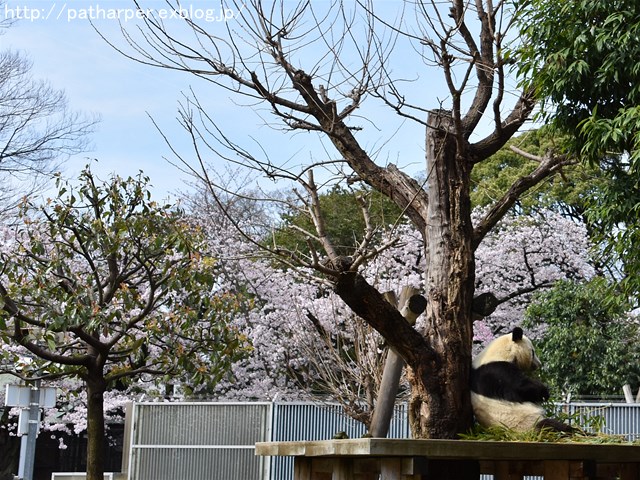 a0052986_7231284.jpg