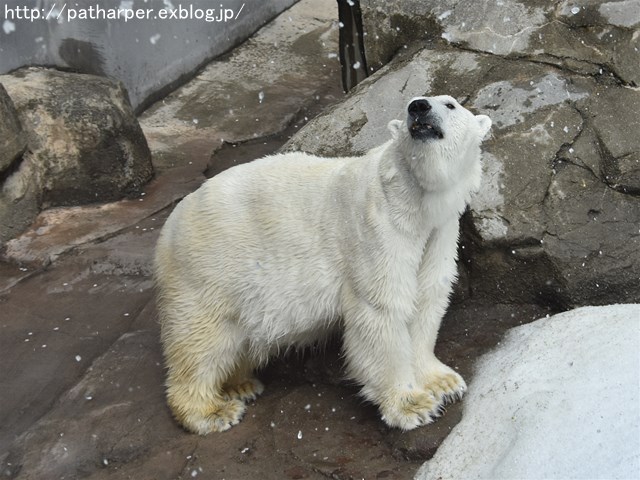 a0052986_7385939.jpg