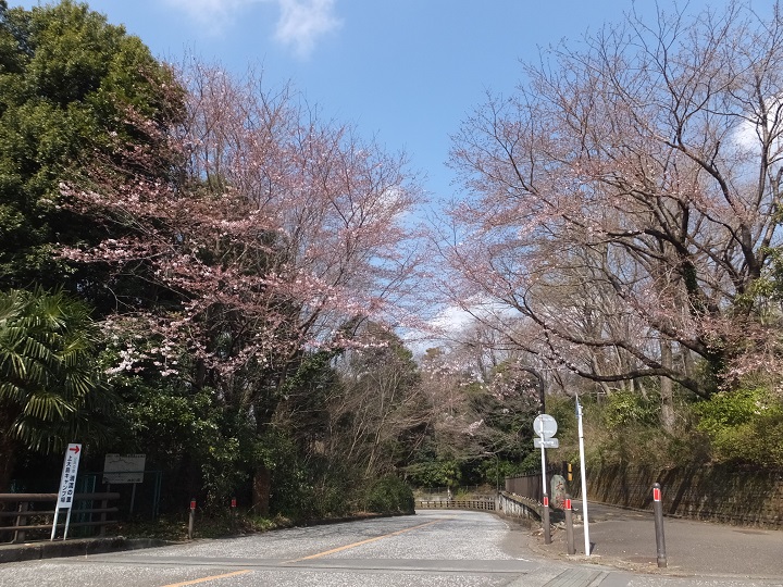 a0223690_1657556.jpg