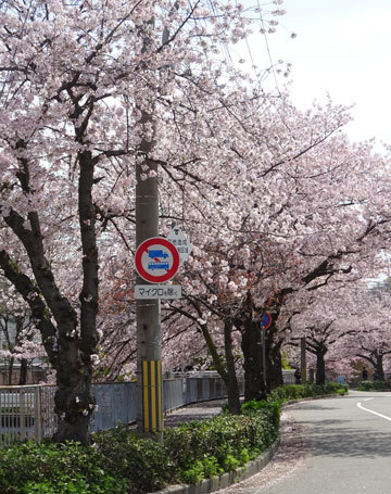 c0168990_18024651.jpg