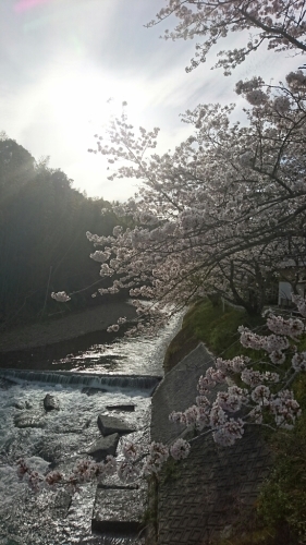 a0323194_19173891.jpg