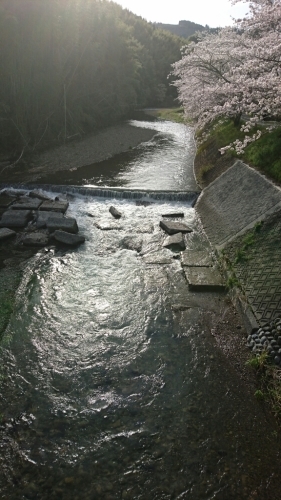 a0323194_19174363.jpg