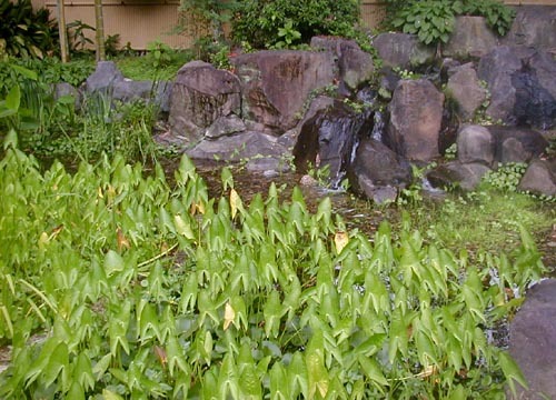 d0053294_00555233.jpg